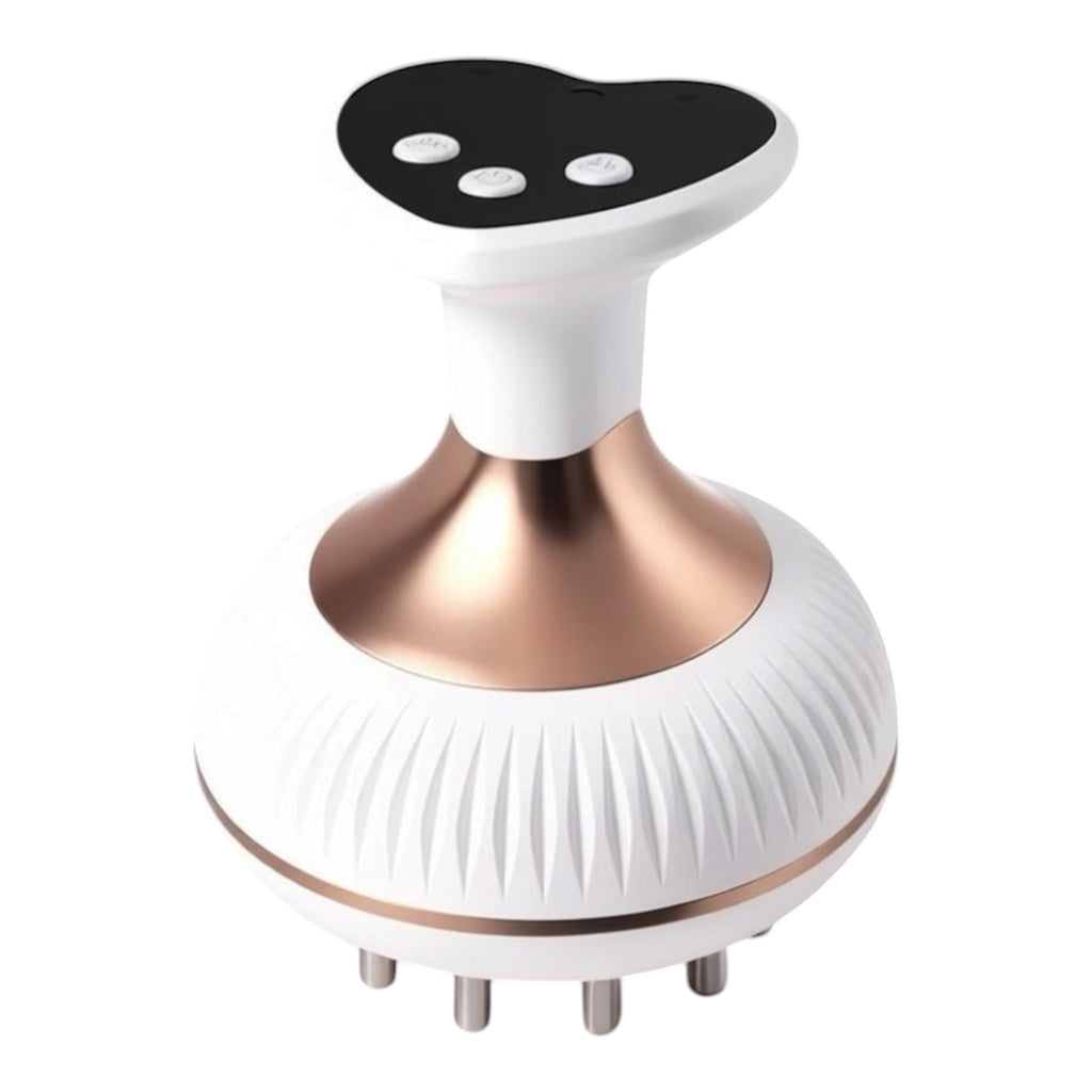 Le Masseur Électrobrosse