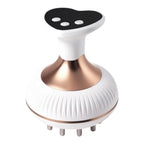 Le Masseur Électrobrosse